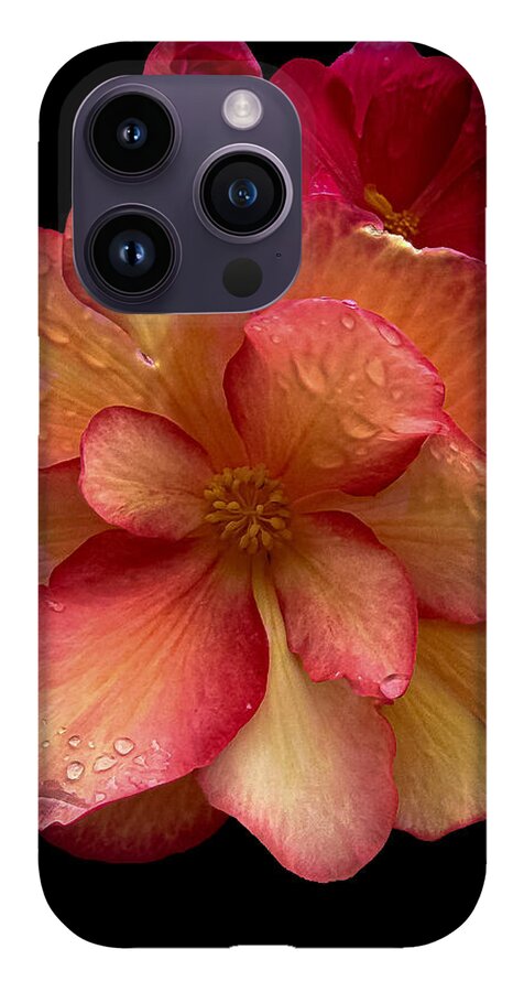 Dew-Kissed Blossoms on Black Background - Phone Case