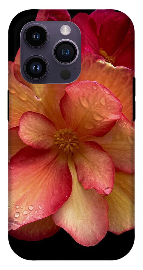 Dew-Kissed Blossoms on Black Background - Phone Case