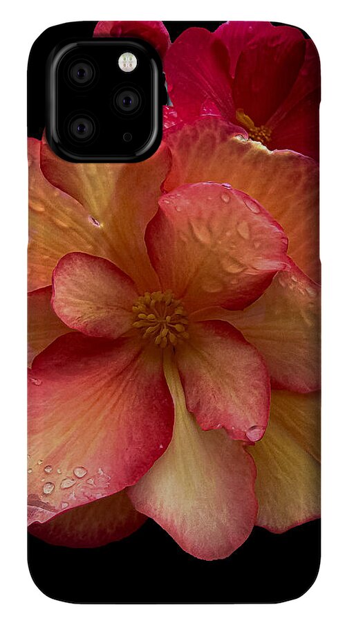 Dew-Kissed Blossoms on Black Background - Phone Case