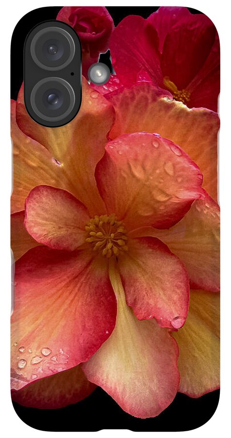 Dew-Kissed Blossoms on Black Background - Phone Case