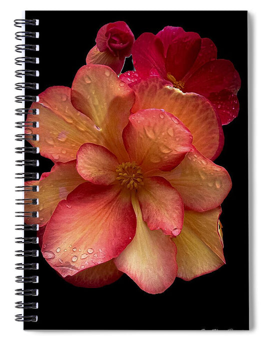 Dew-Kissed Blossoms on Black Background - Spiral Notebook