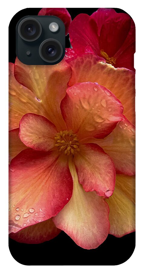 Dew-Kissed Blossoms on Black Background - Phone Case
