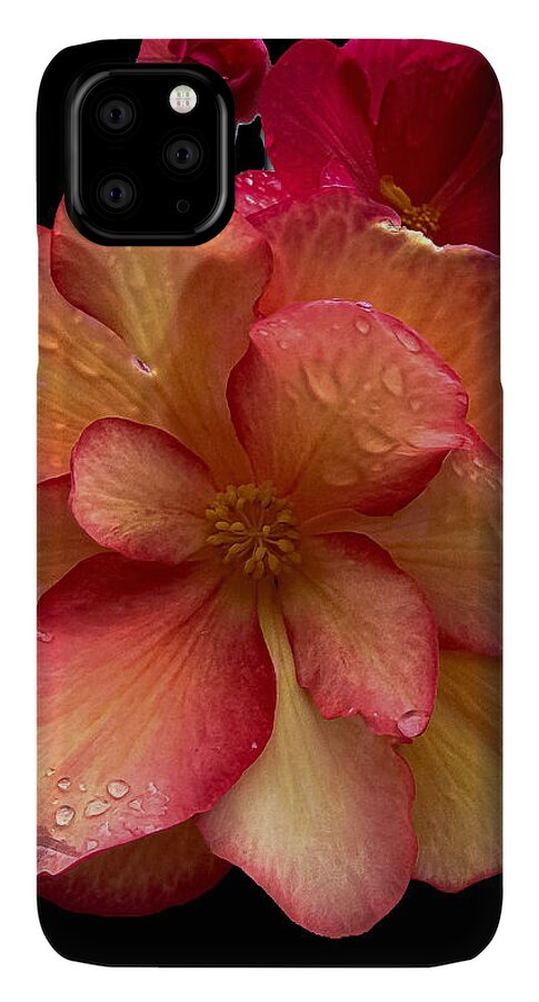 Dew-Kissed Blossoms on Black Background - Phone Case