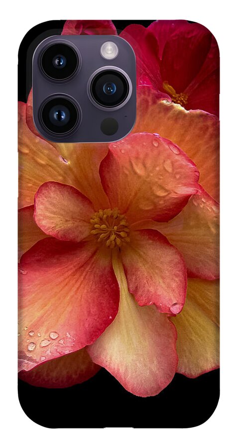 Dew-Kissed Blossoms on Black Background - Phone Case