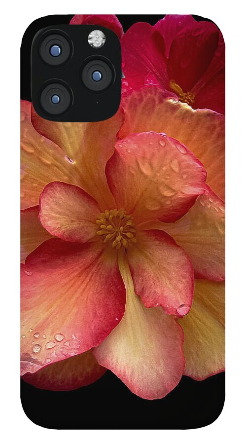 Dew-Kissed Blossoms on Black Background - Phone Case