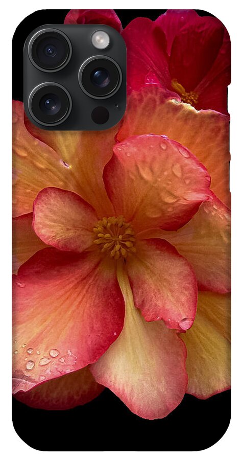 Dew-Kissed Blossoms on Black Background - Phone Case