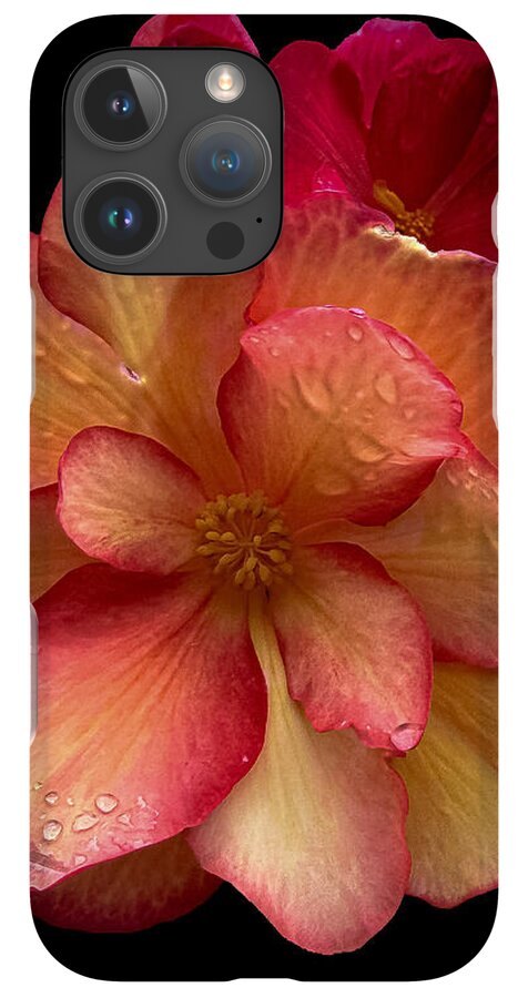 Dew-Kissed Blossoms on Black Background - Phone Case
