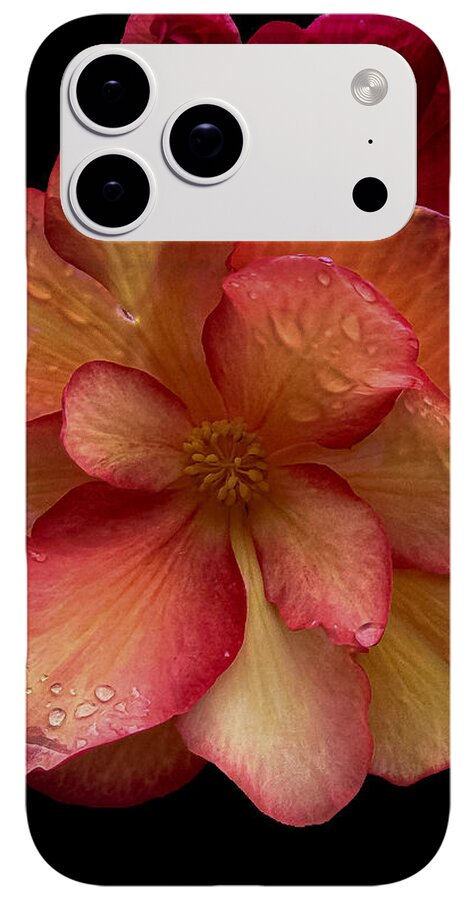 Dew-Kissed Blossoms on Black Background - Phone Case