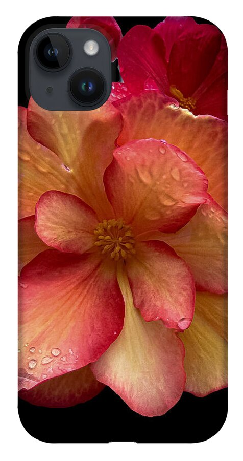 Dew-Kissed Blossoms on Black Background - Phone Case
