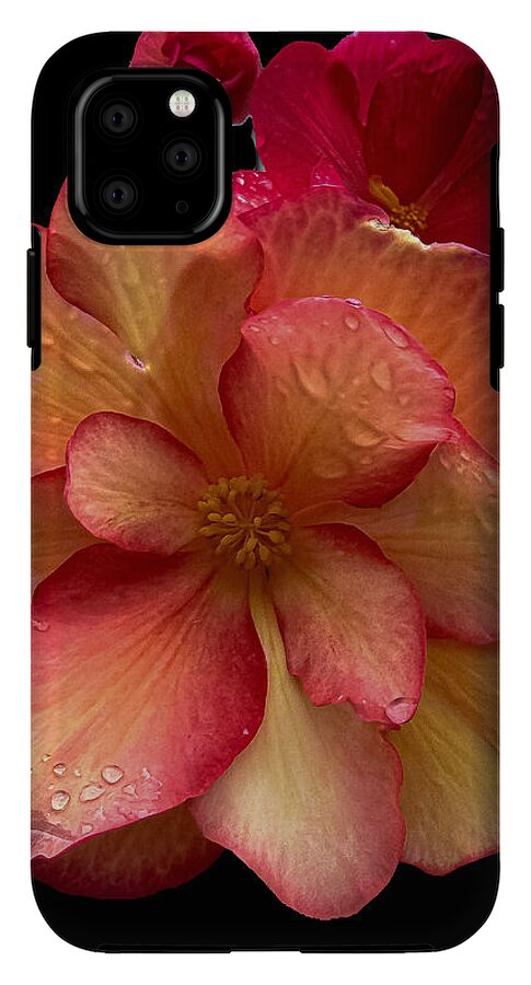 Dew-Kissed Blossoms on Black Background - Phone Case