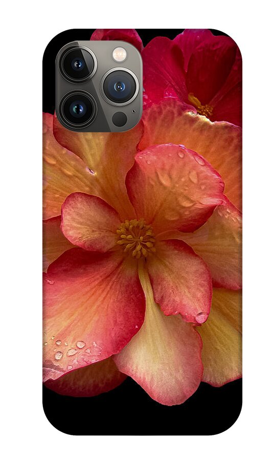 Dew-Kissed Blossoms on Black Background - Phone Case