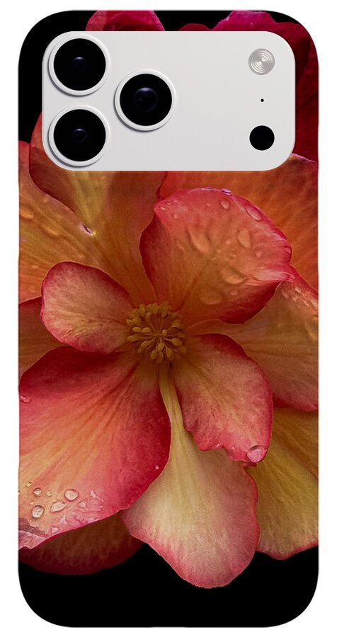 Dew-Kissed Blossoms on Black Background - Phone Case