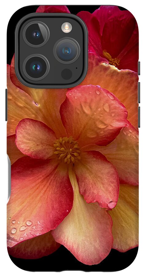 Dew-Kissed Blossoms on Black Background - Phone Case