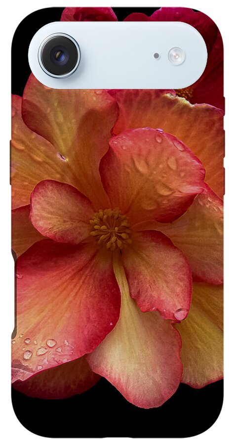 Dew-Kissed Blossoms on Black Background - Phone Case