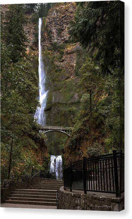 Different  view Multnomah Falls - Canvas Print