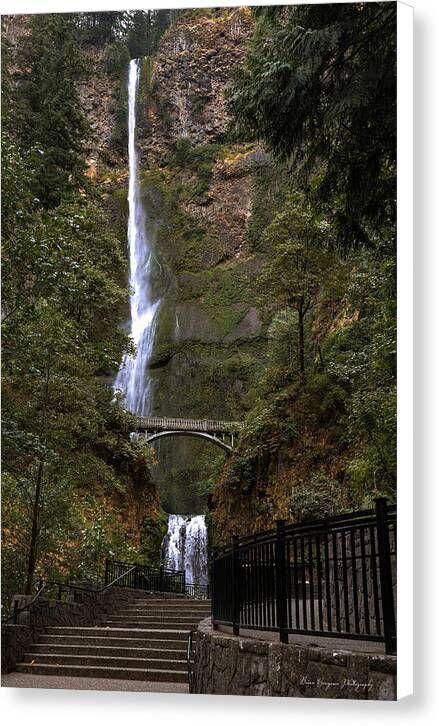 Different  view Multnomah Falls - Canvas Print