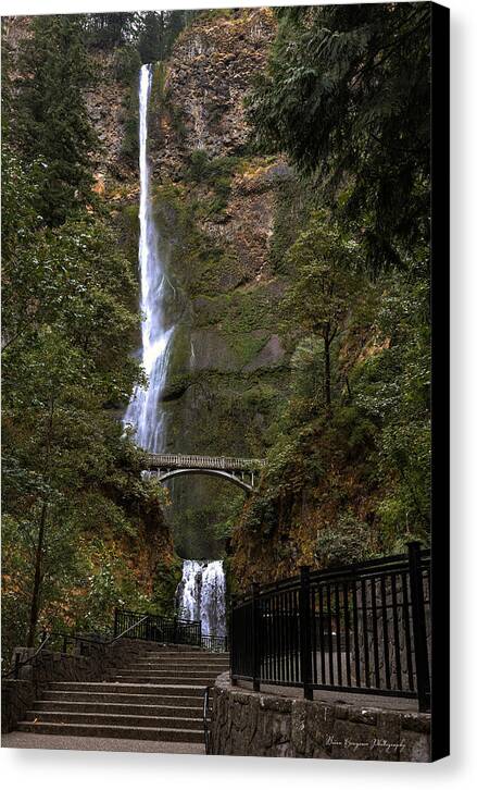 Different  view Multnomah Falls - Canvas Print
