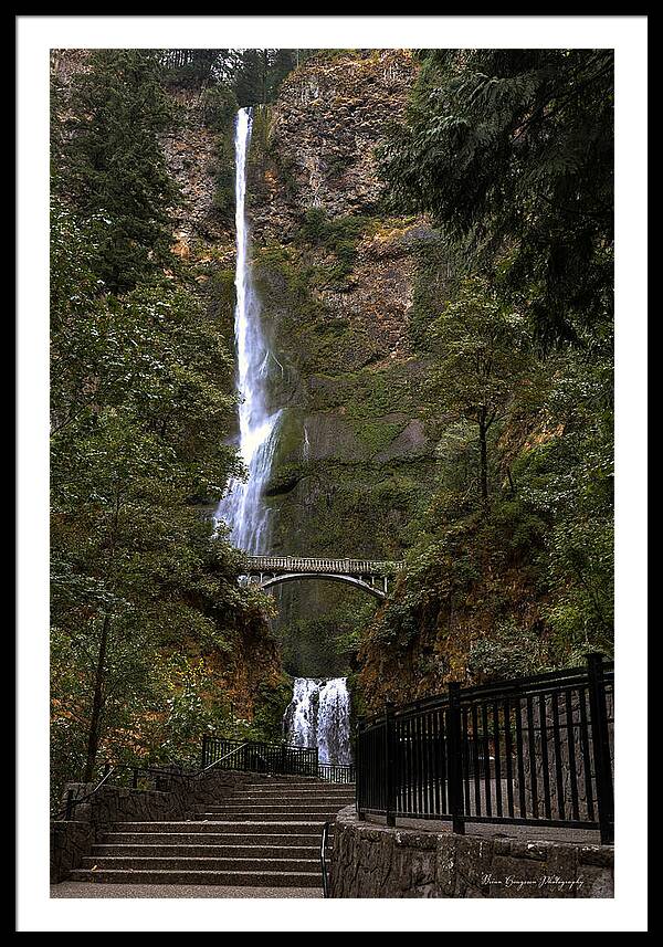 Different  view Multnomah Falls - Framed Print