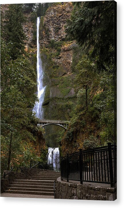 Different  view Multnomah Falls - Acrylic Print