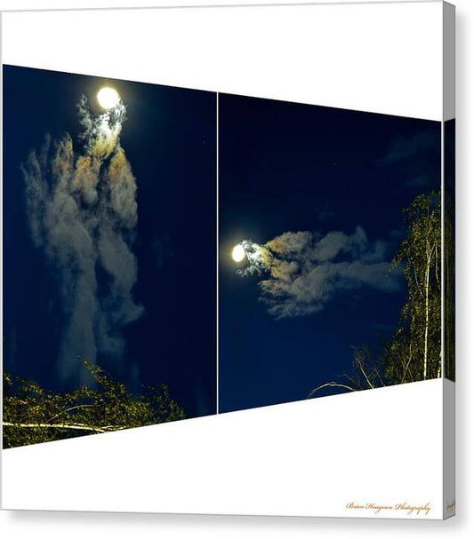 Different views - Canvas Print