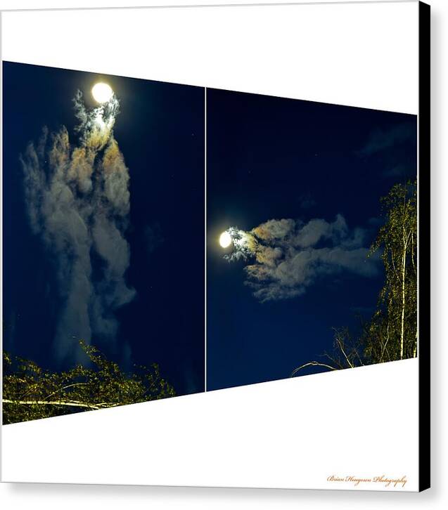 Different views - Canvas Print