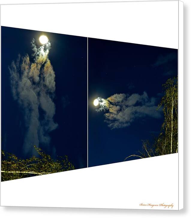 Different views - Canvas Print