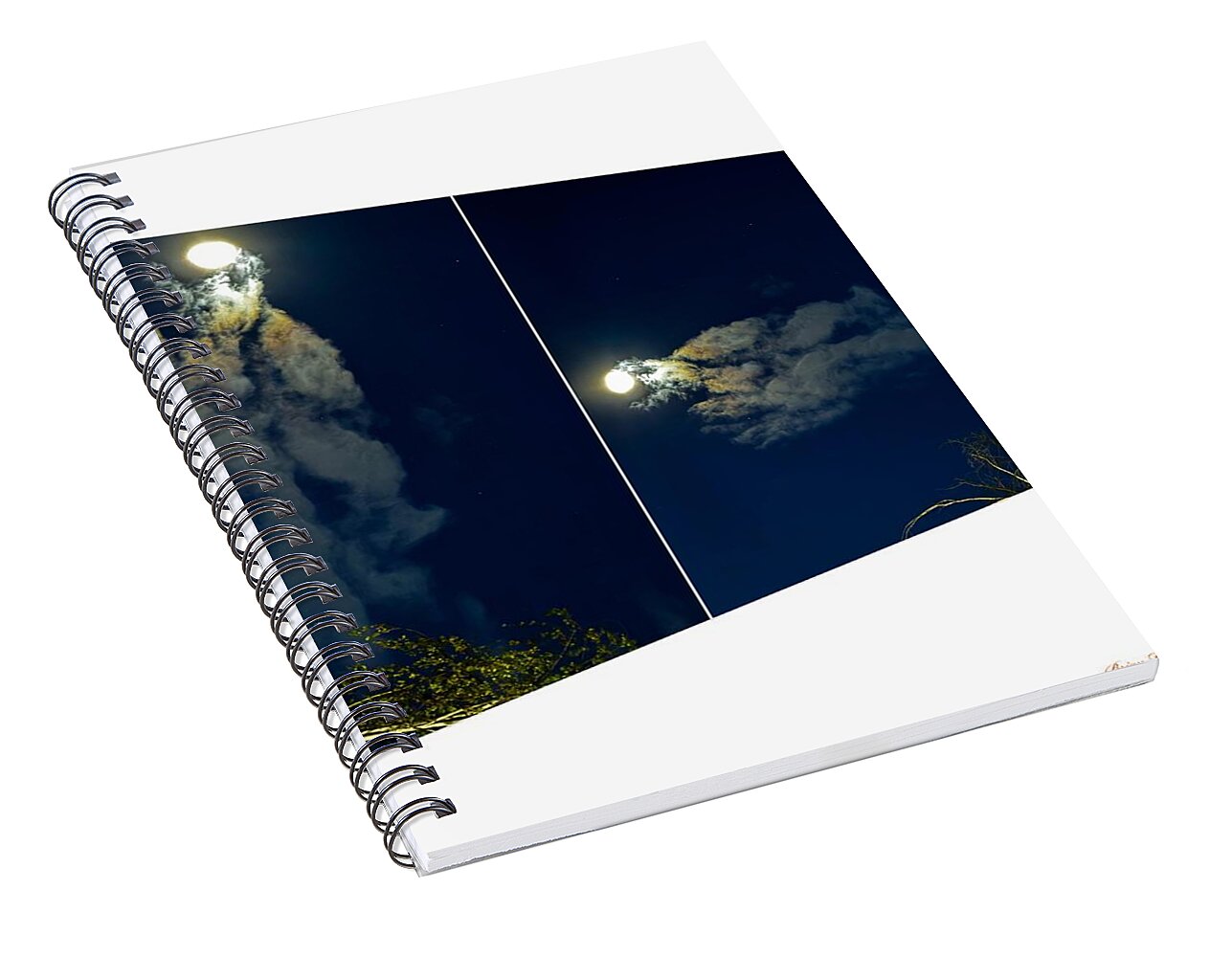 Different views - Spiral Notebook