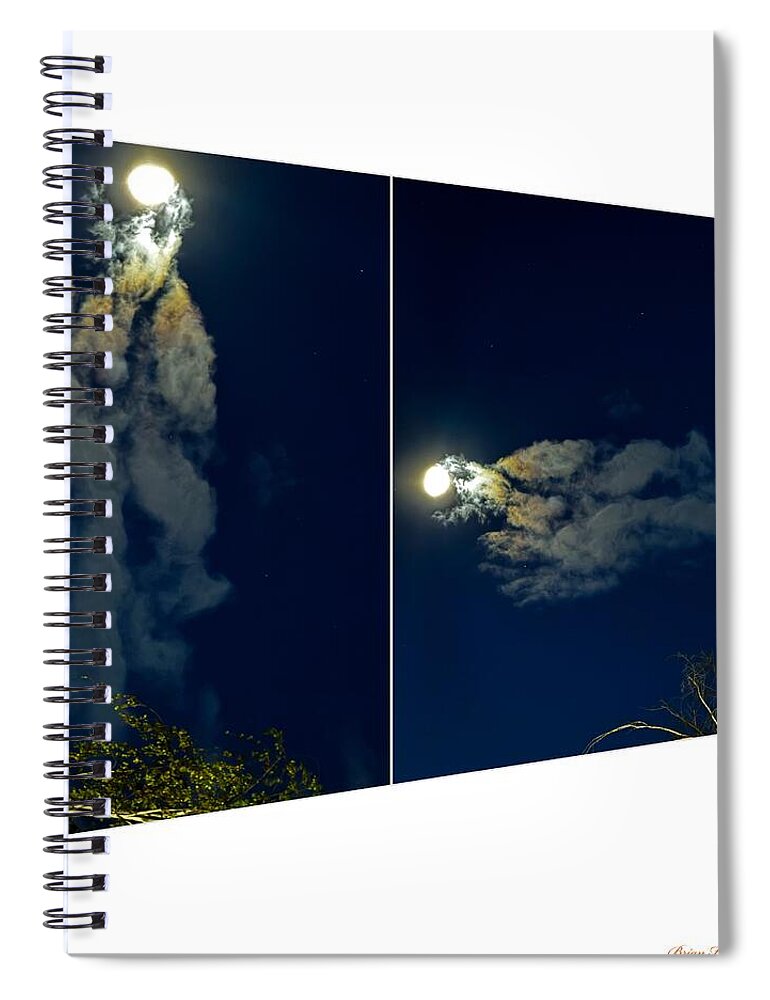 Different views - Spiral Notebook