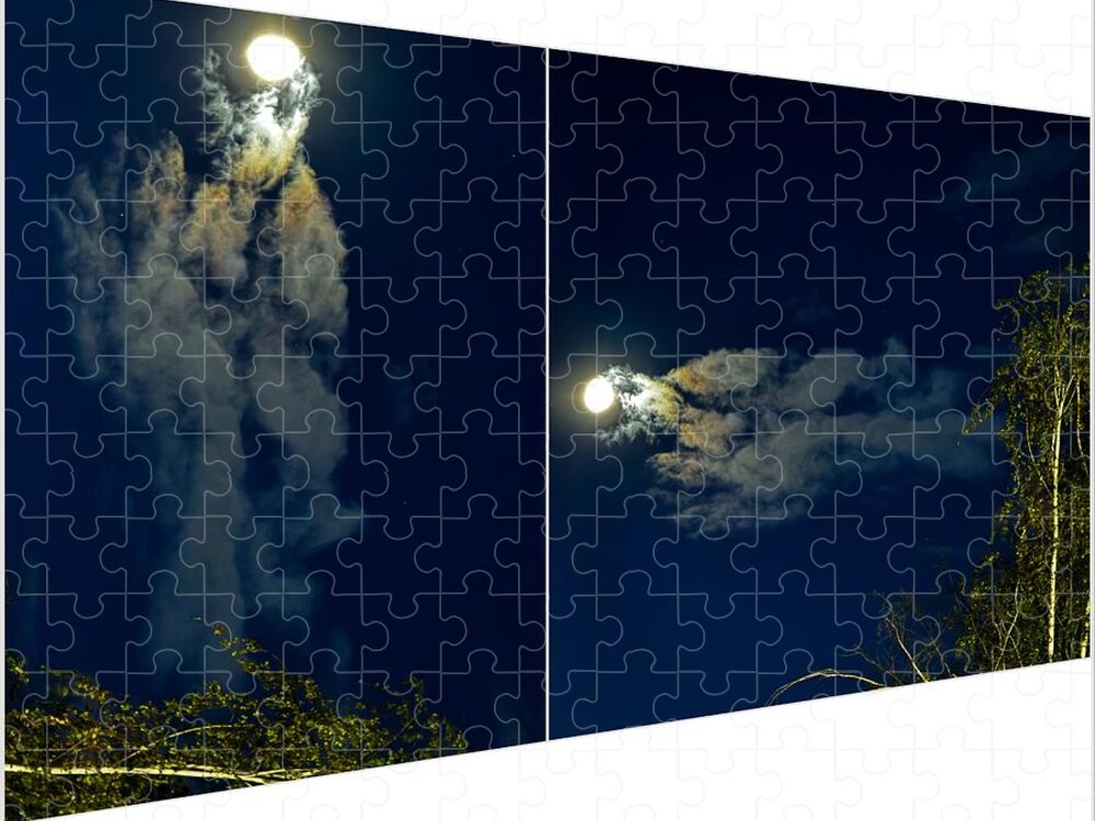 Different views - Puzzle