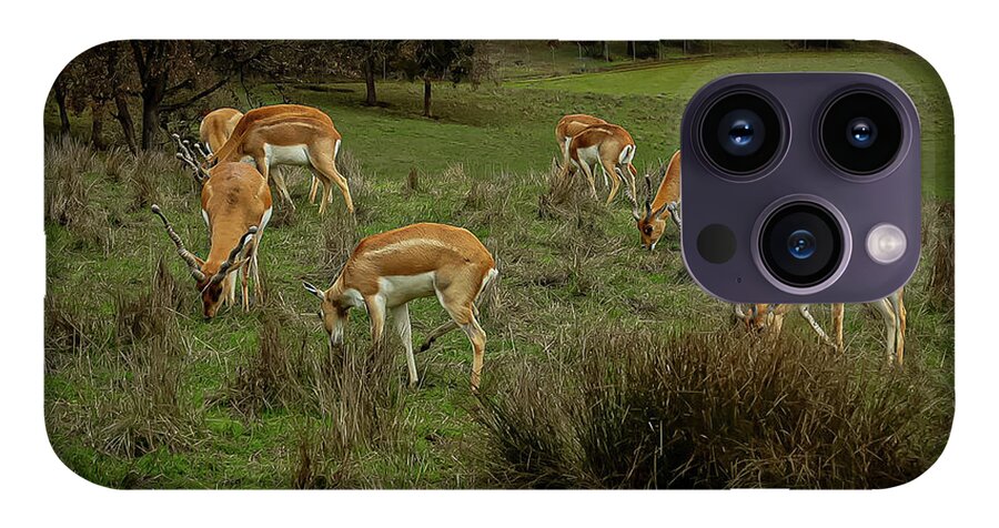 Elk - Phone Case