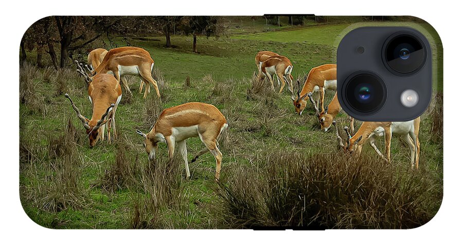 Elk - Phone Case