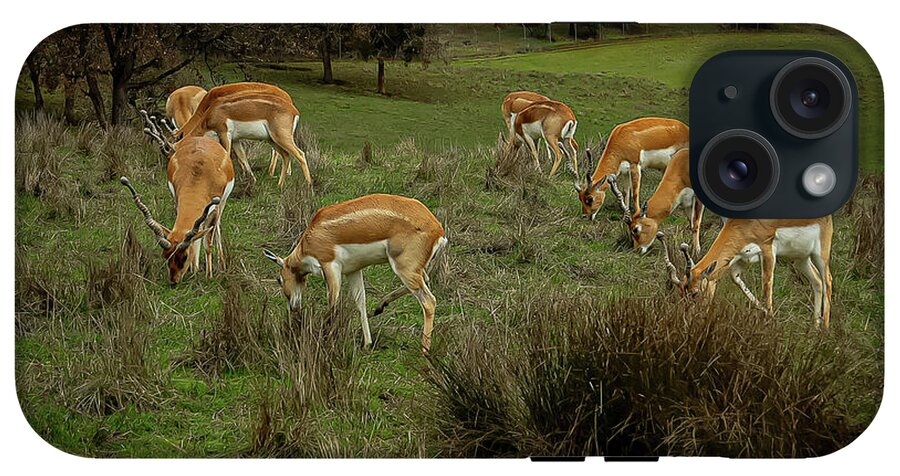 Elk - Phone Case