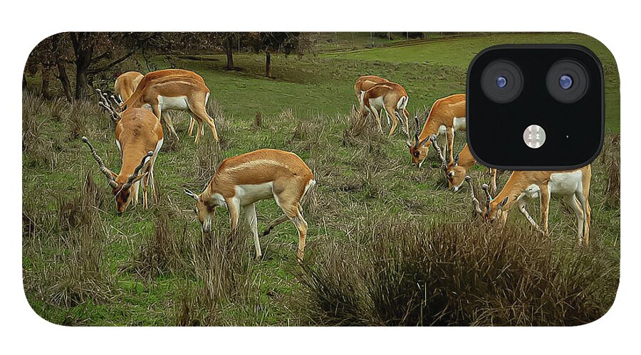 Elk - Phone Case