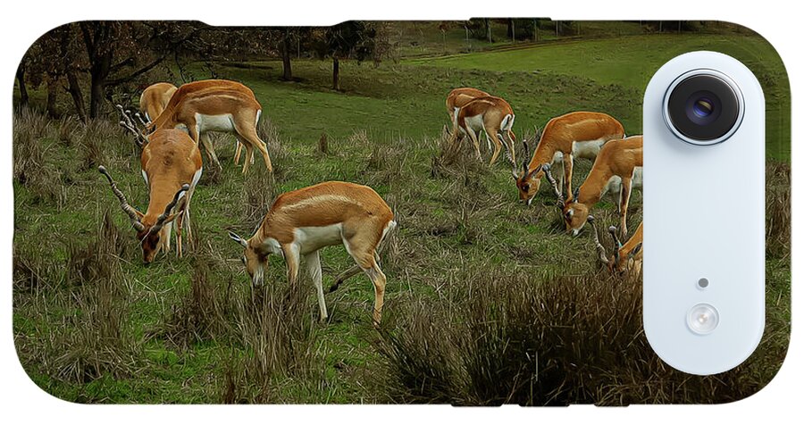 Elk - Phone Case