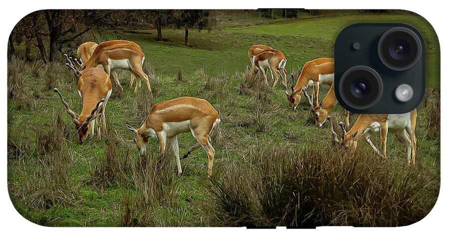 Elk - Phone Case