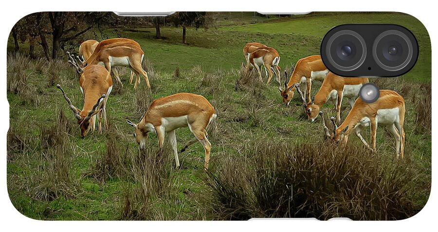 Elk - Phone Case