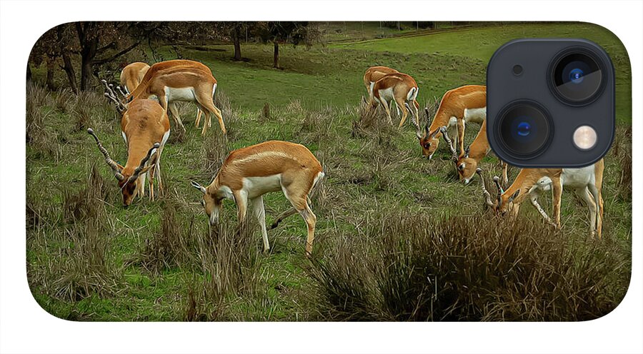 Elk - Phone Case