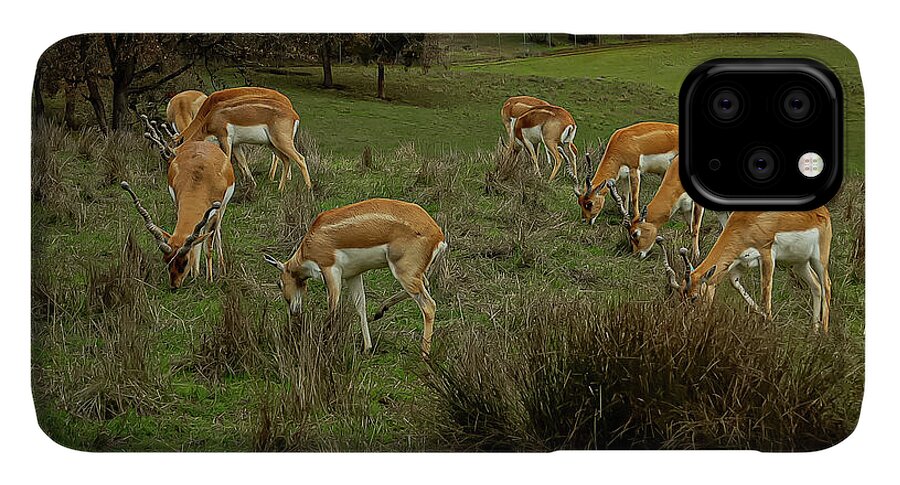 Elk - Phone Case