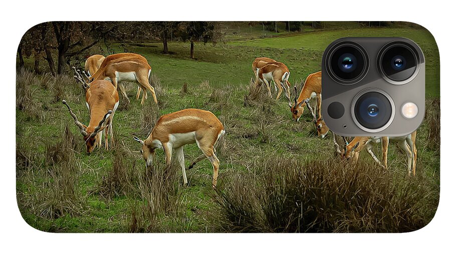 Elk - Phone Case