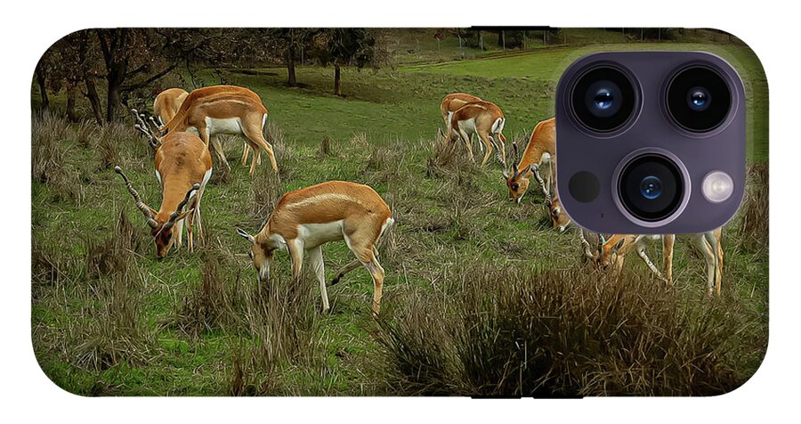 Elk - Phone Case