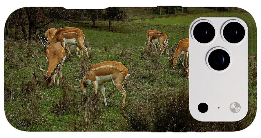 Elk - Phone Case