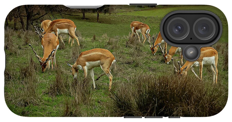 Elk - Phone Case