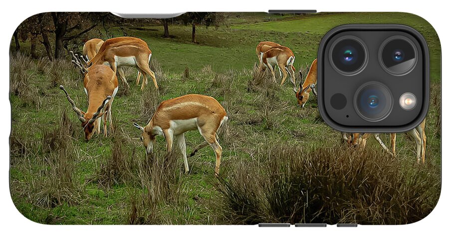 Elk - Phone Case