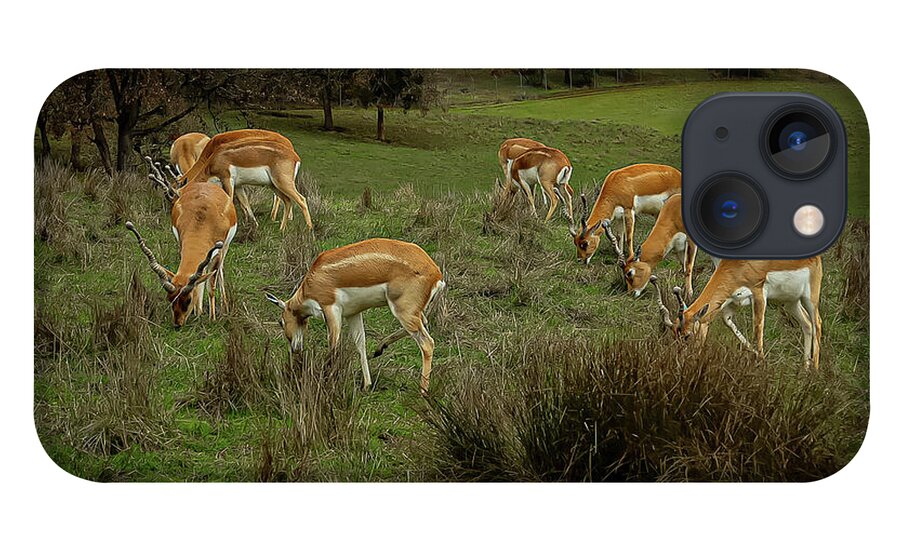 Elk - Phone Case