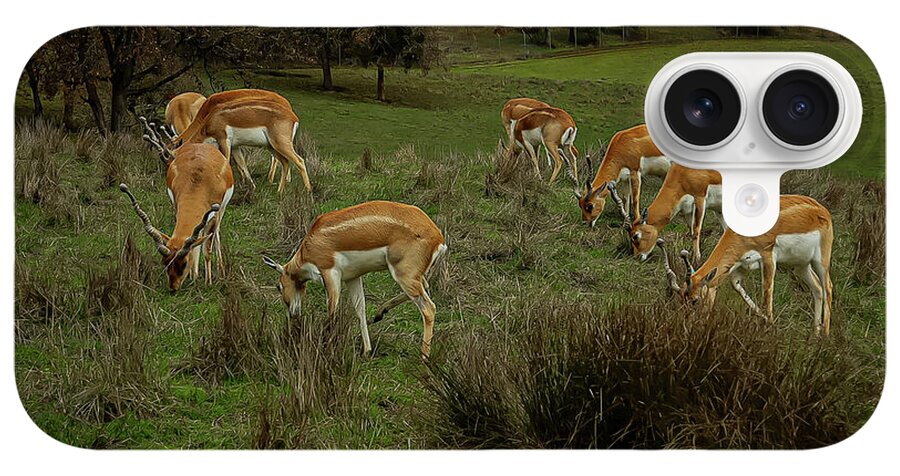 Elk - Phone Case