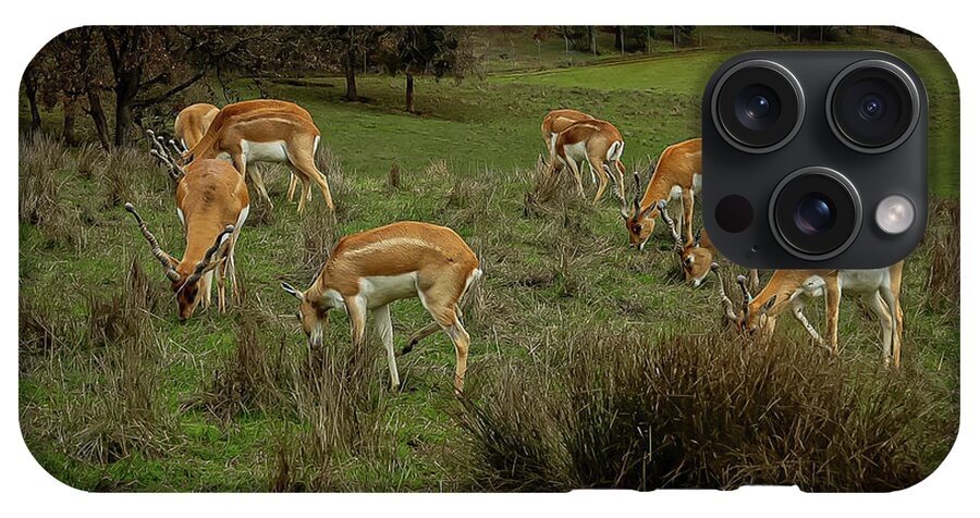 Elk - Phone Case