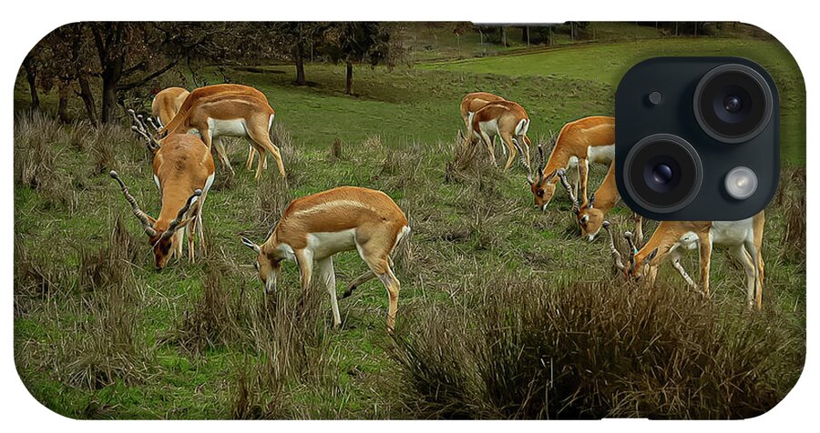 Elk - Phone Case