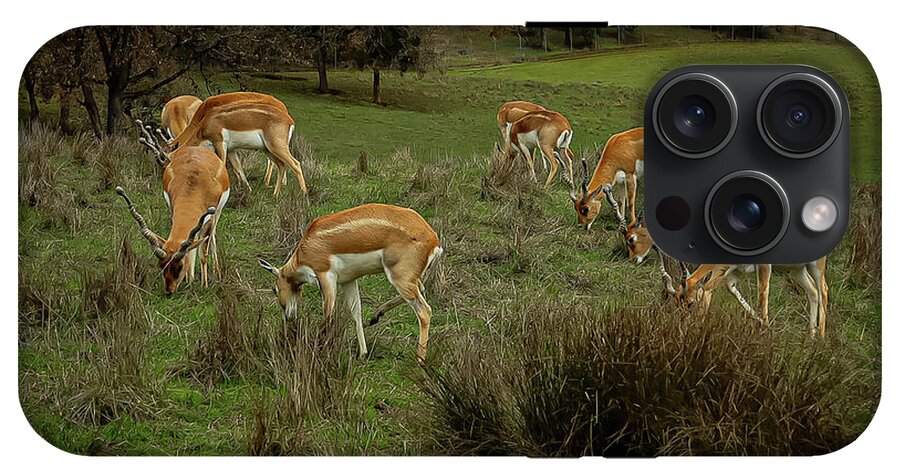 Elk - Phone Case