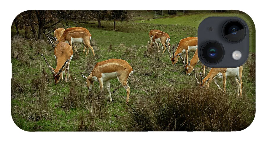 Elk - Phone Case