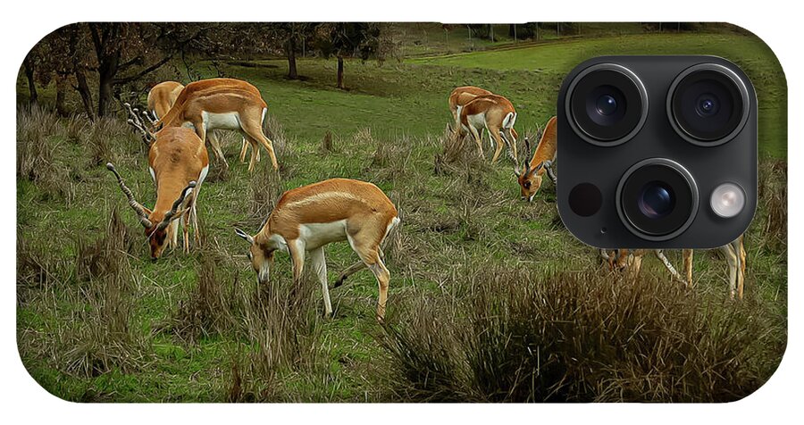 Elk - Phone Case